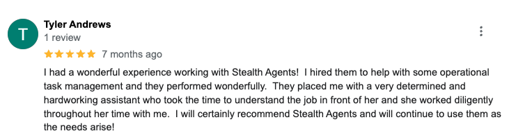 Stealth Agents Review